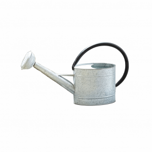 0.7 gal Oval Aged Zinc Watering Can