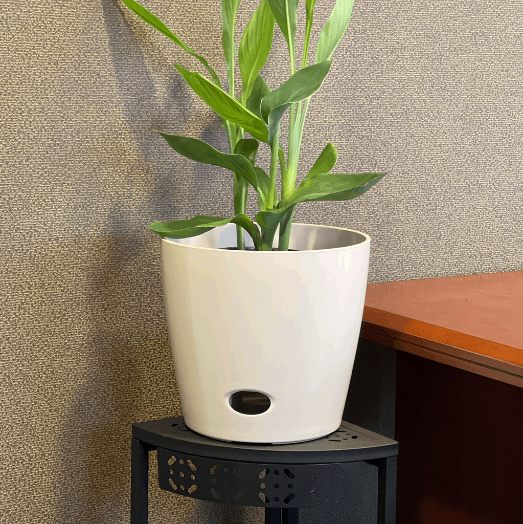 10" Cream Round Self-Watering Bamboo Pot - Image 7