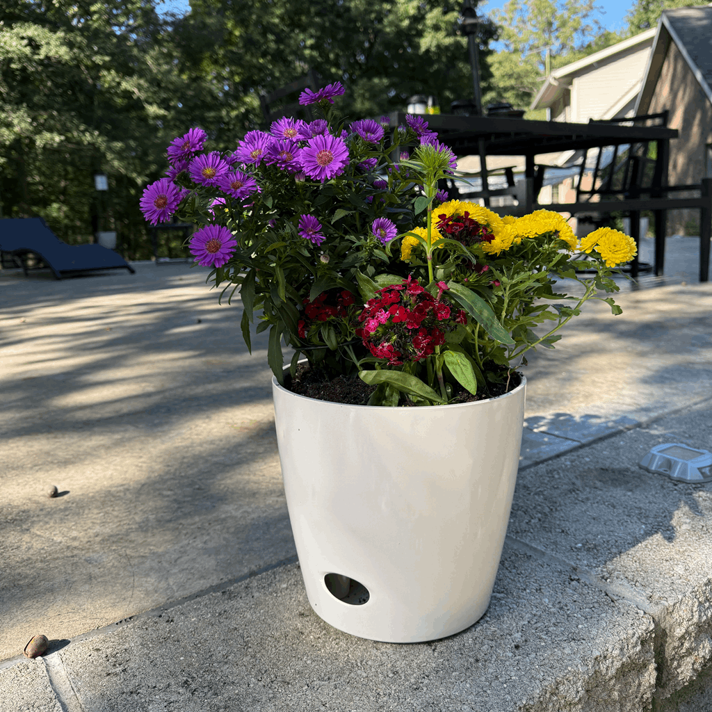 10" Cream Round Self-Watering Bamboo Pot - Image 13