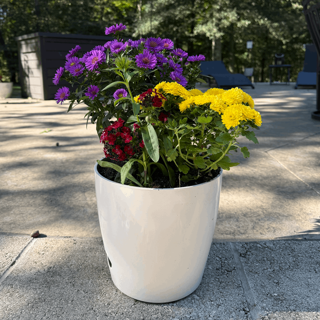 10" Cream Round Self-Watering Bamboo Pot - Image 14