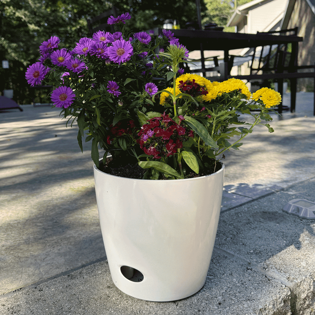 10" Cream Round Self-Watering Bamboo Pot - Image 15