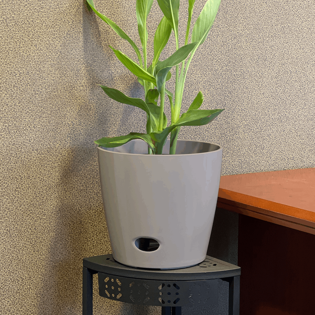 10" Gray Round Self-Watering Bamboo Pot - Image 8