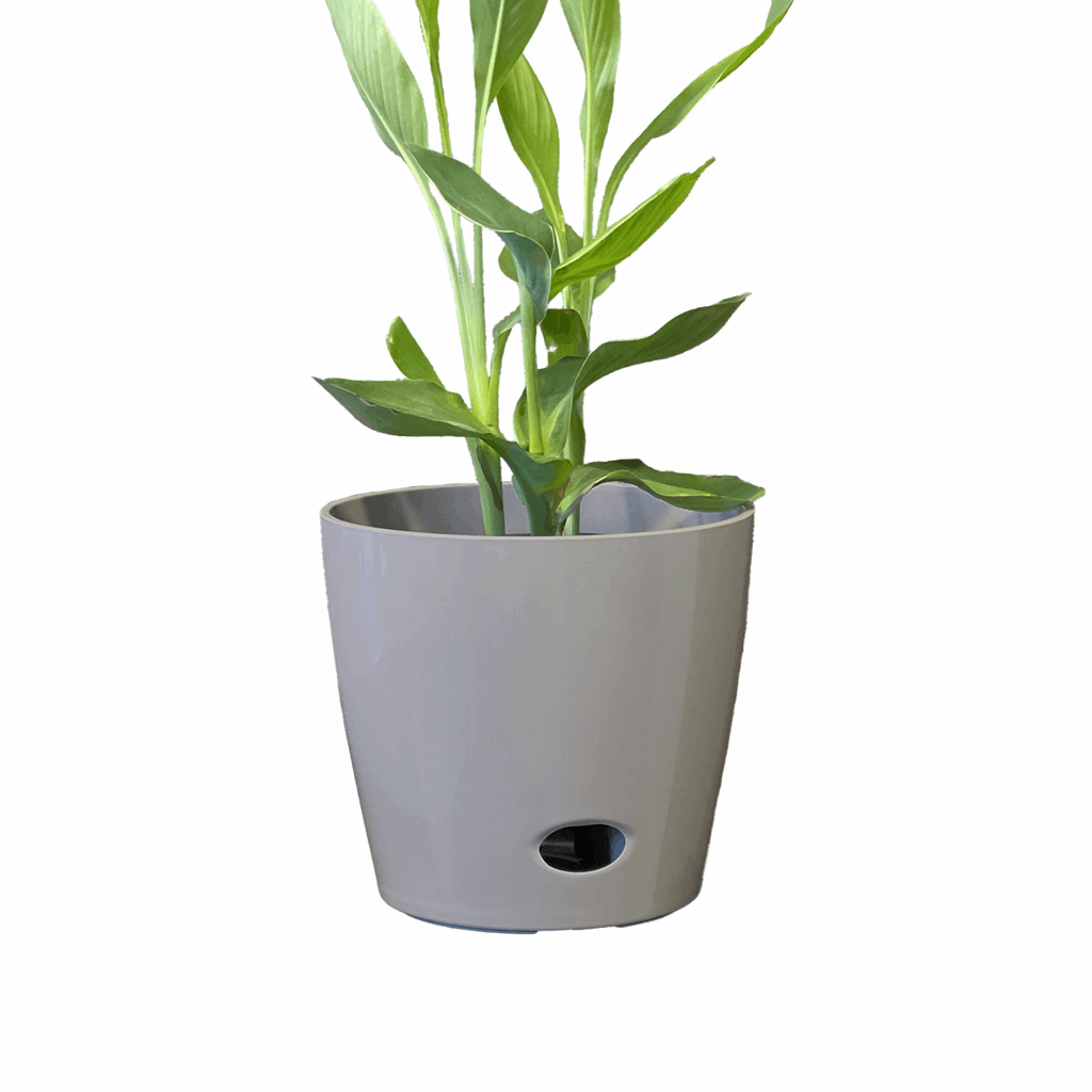 10" Gray Round Self-Watering Bamboo Pot - Image 9