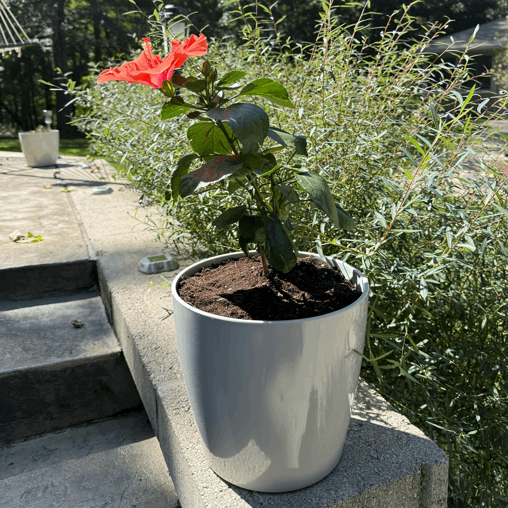 10" Gray Round Self-Watering Bamboo Pot - Image 13