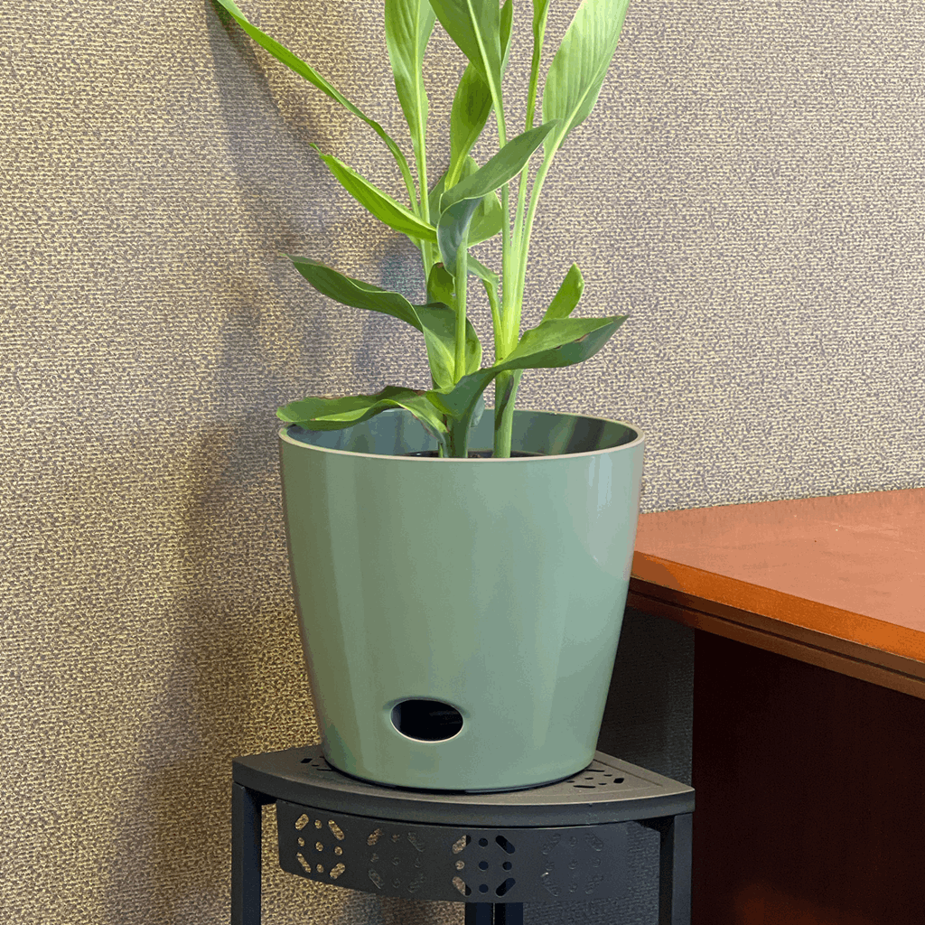 10" Sage Round Self-Watering Bamboo Pot - Image 8