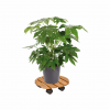 11.4" Round Bamboo Plant Caddy - Image 2