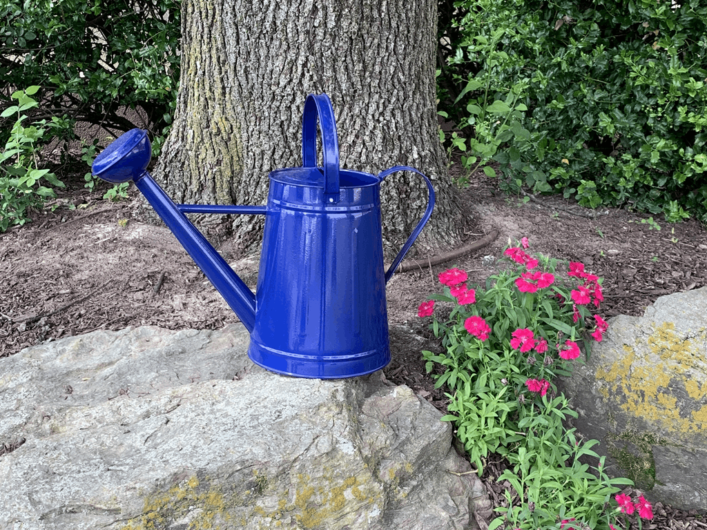 1.2 gal Blue Metal Watering Can/Memory Foam Kneel Cushion - Image 3