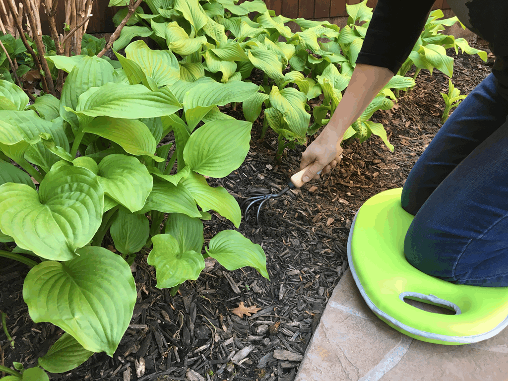 1.2 gal Green Metal Watering Can/Memory Foam Kneel Cushion - Image 3