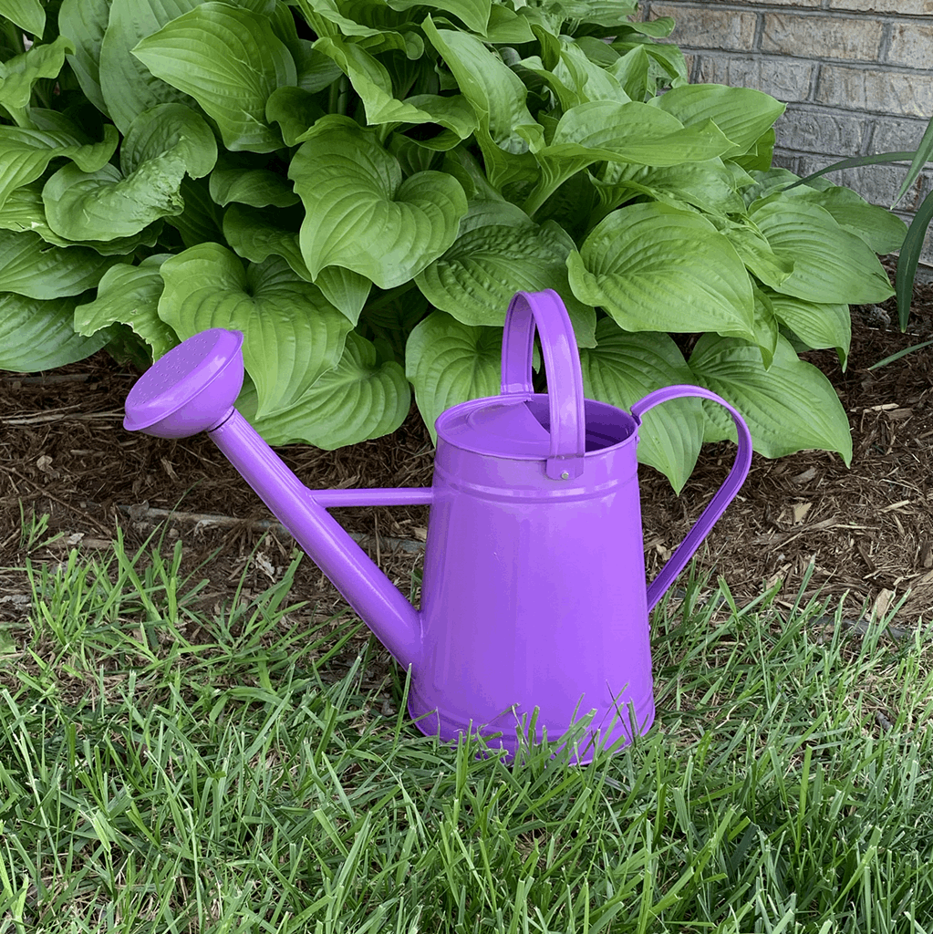 1.2 gal Violet Metal Watering Can - Image 4