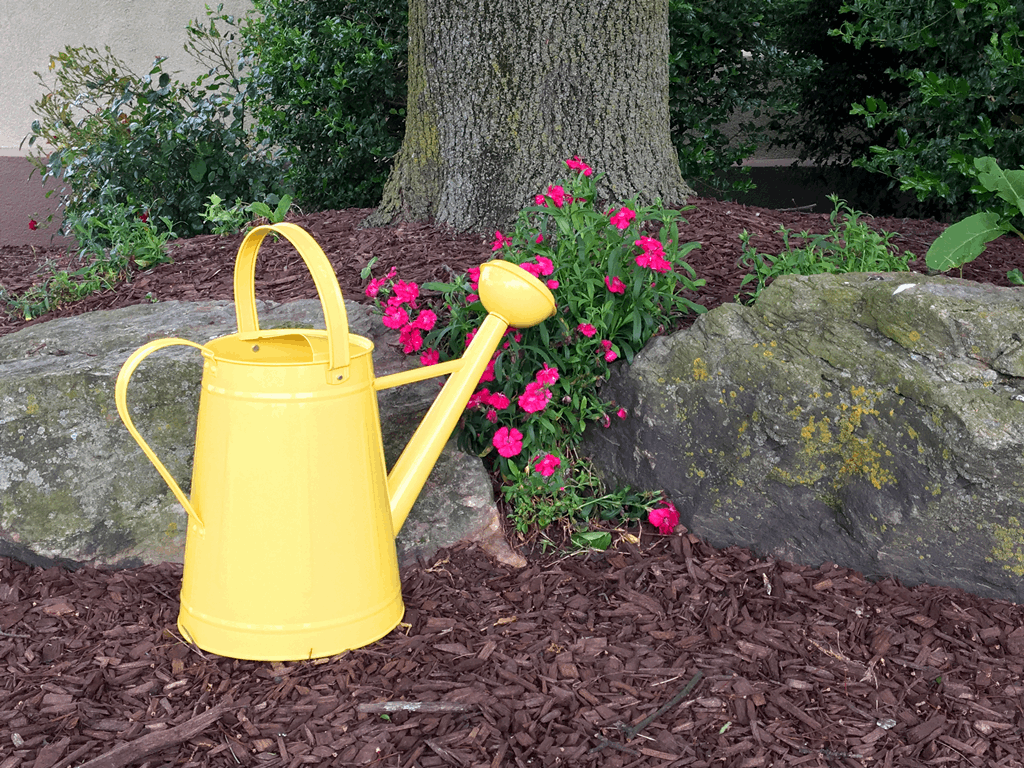 1.2 gal Yellow Metal Watering Can/Memory Foam Kneel Cushion - Image 2