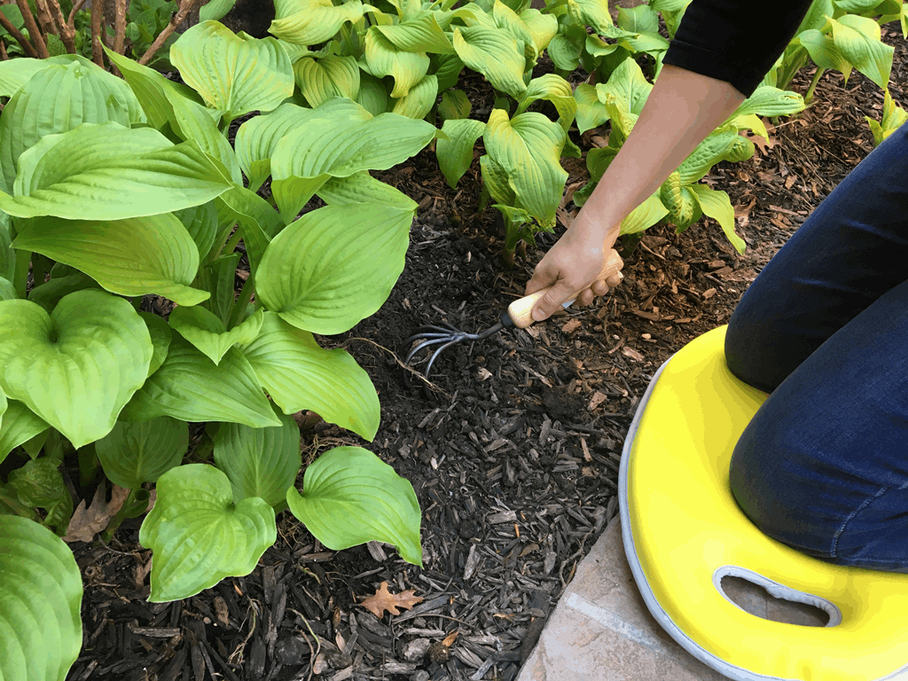1.2 gal Yellow Metal Watering Can/Memory Foam Kneel Cushion - Image 3