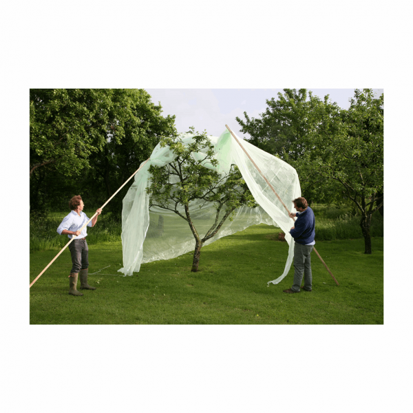 13.1' x 13.1' Fruit Tree Cover