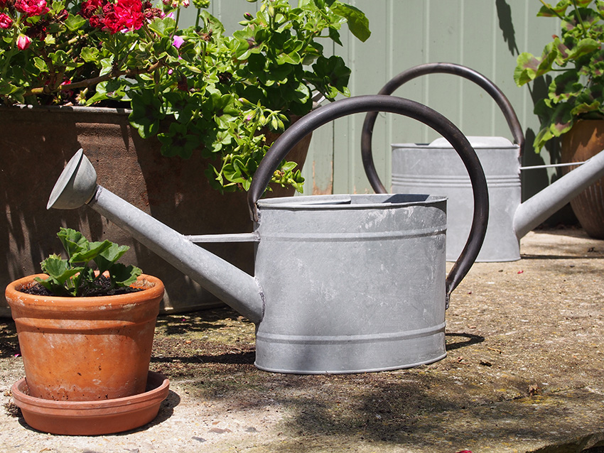 1.3 gal Oval Aged Zinc Watering Can - Image 3