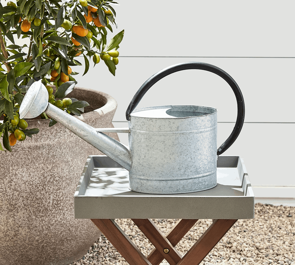 1.3 gal Oval Aged Zinc Watering Can - Image 4