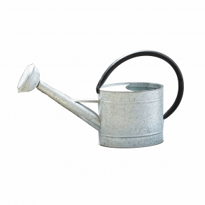 1.3 gal Oval Aged Zinc Watering Can