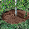 20" Round Coco Tree Mat 3pk - Image 2