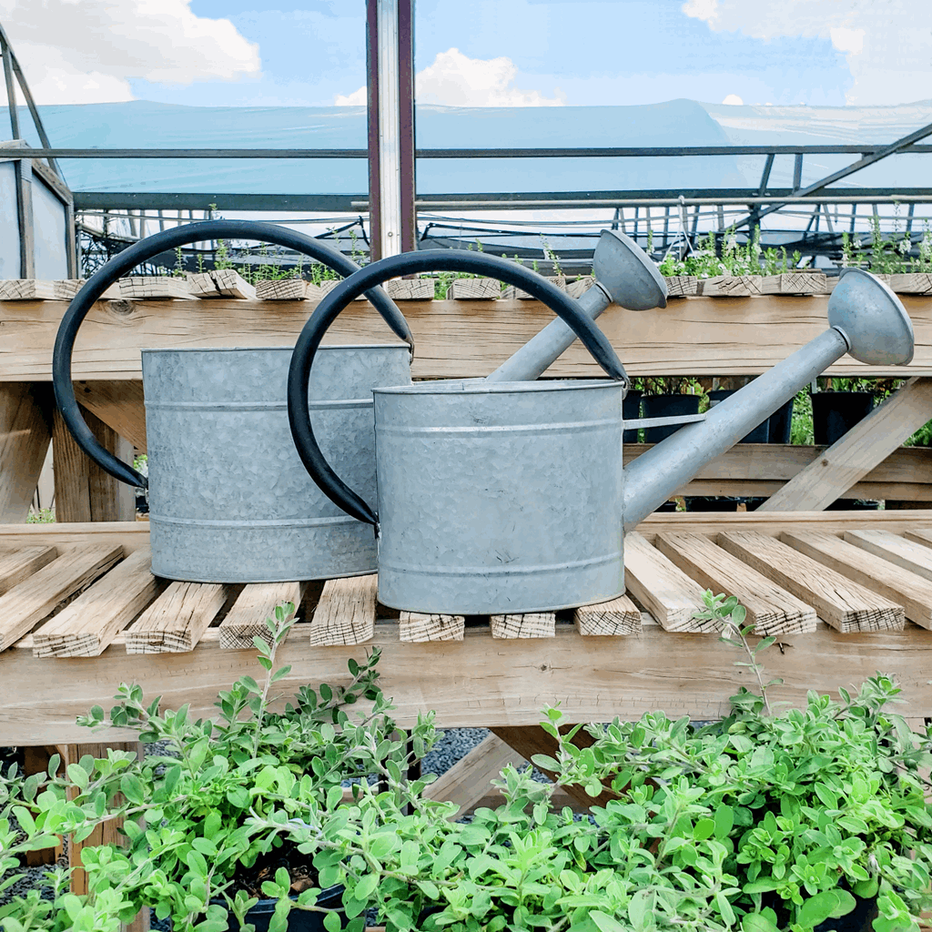 2.1 gal Oval Aged Zinc Watering Can - Image 2