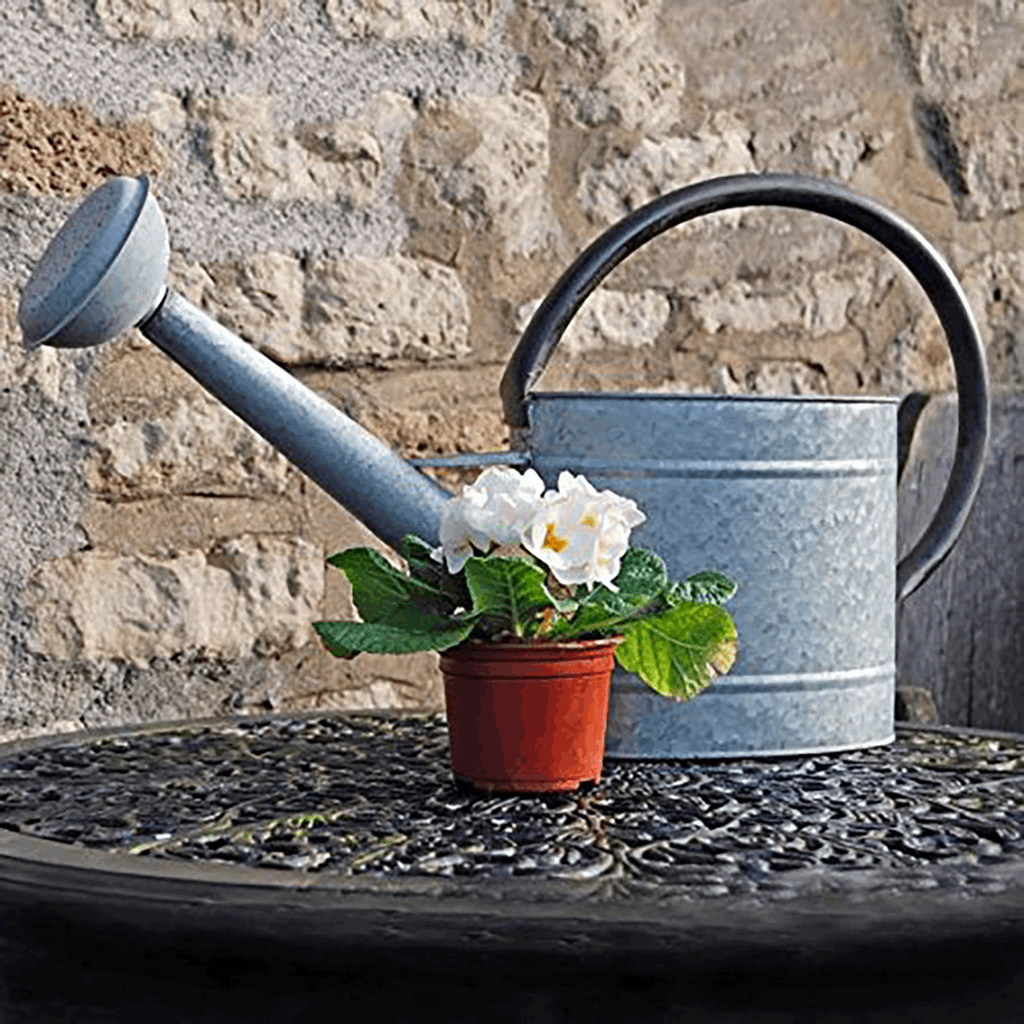 2.1 gal Oval Aged Zinc Watering Can - Image 3