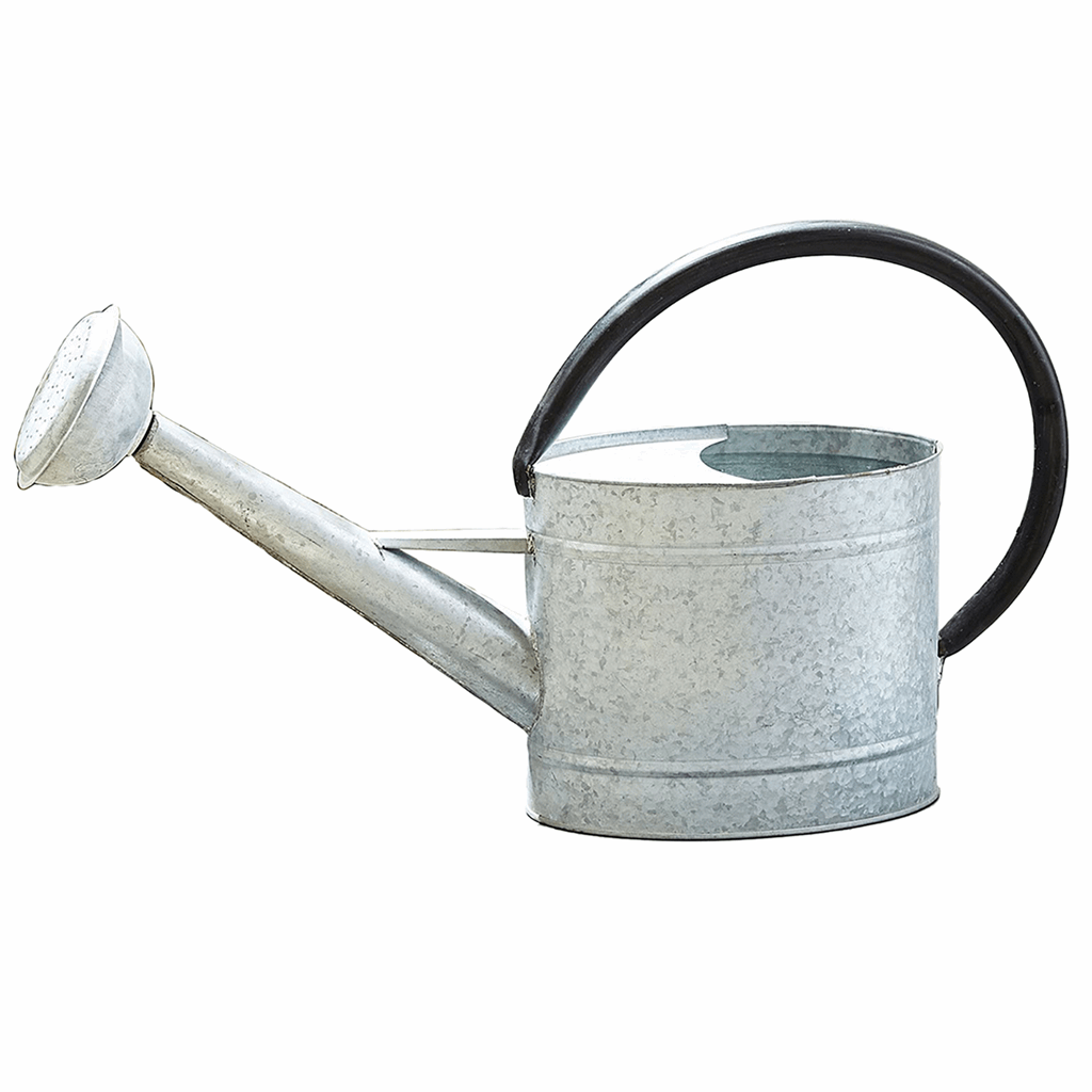 2.1 gal Oval Aged Zinc Watering Can