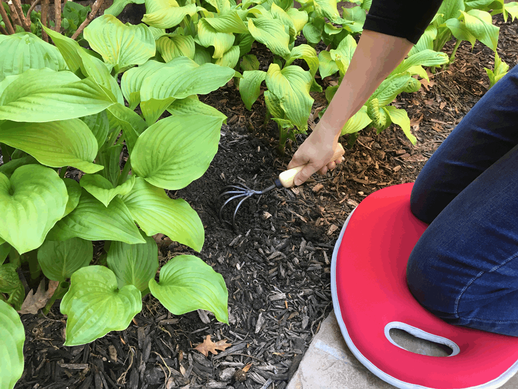 2.1 gal Red Metal Watering Can/Memory Foam Kneel Cushion - Image 3