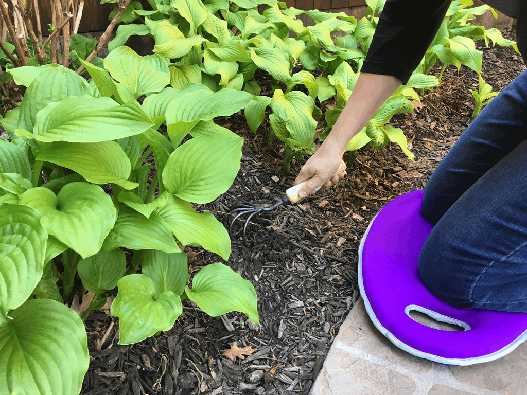 2.1 gal Violet Metal Watering Can/Memory Foam Kneel Cushion - Image 4