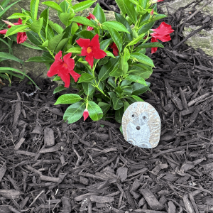 4" Boulder Standing Hedgehog
