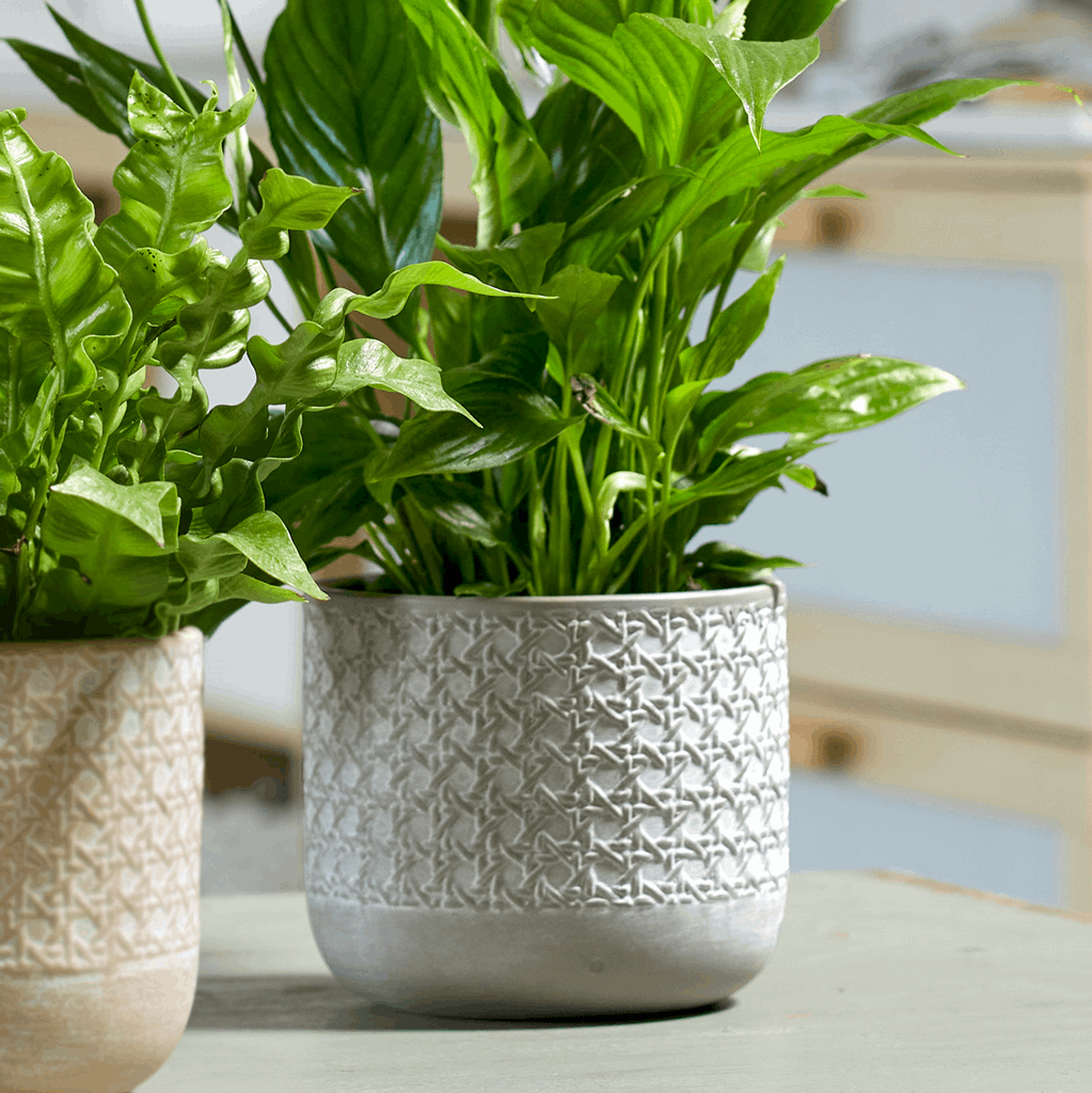 5.1" Silk Gray Ceramic Vienna Pot - Image 2