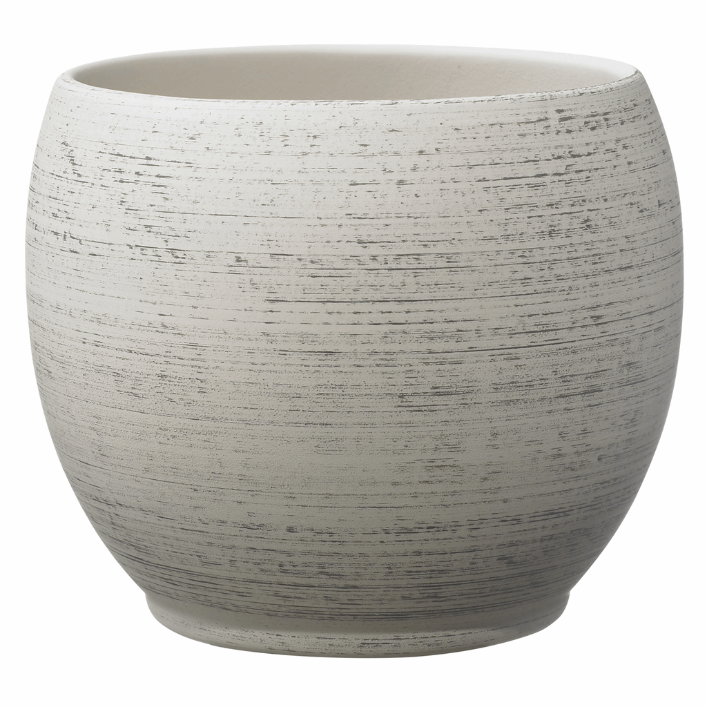 5.9" Wood Optics Gray Ceramic Alberta Fashion Pot