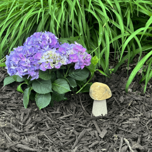 5"H Granite Boulder Mushroom