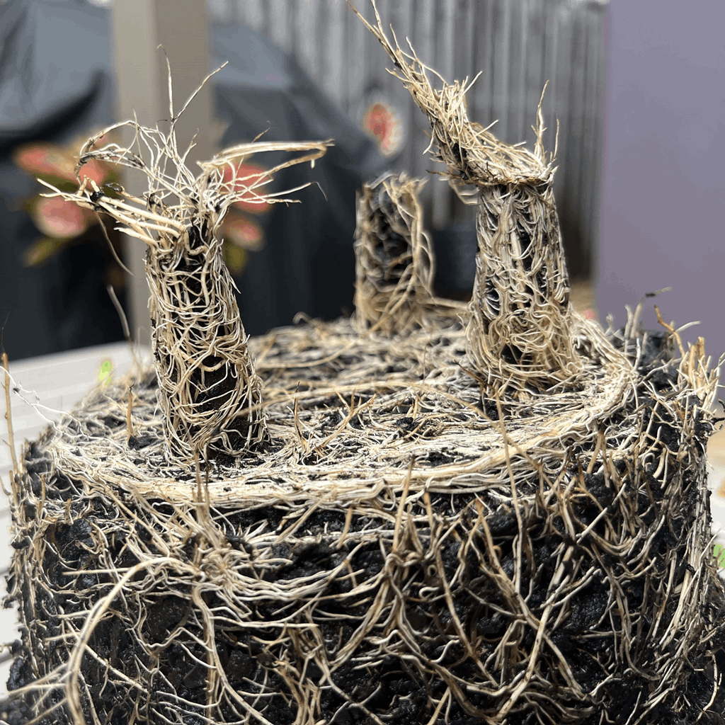 5" Gray Leaves Round Self-Watering Bamboo Pot - Image 6