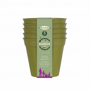 5" Green Bamboo Pot 5pk