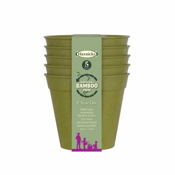 5" Green Bamboo Pot 5pk