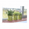 5" Green Bamboo Pot 5pk - Image 2