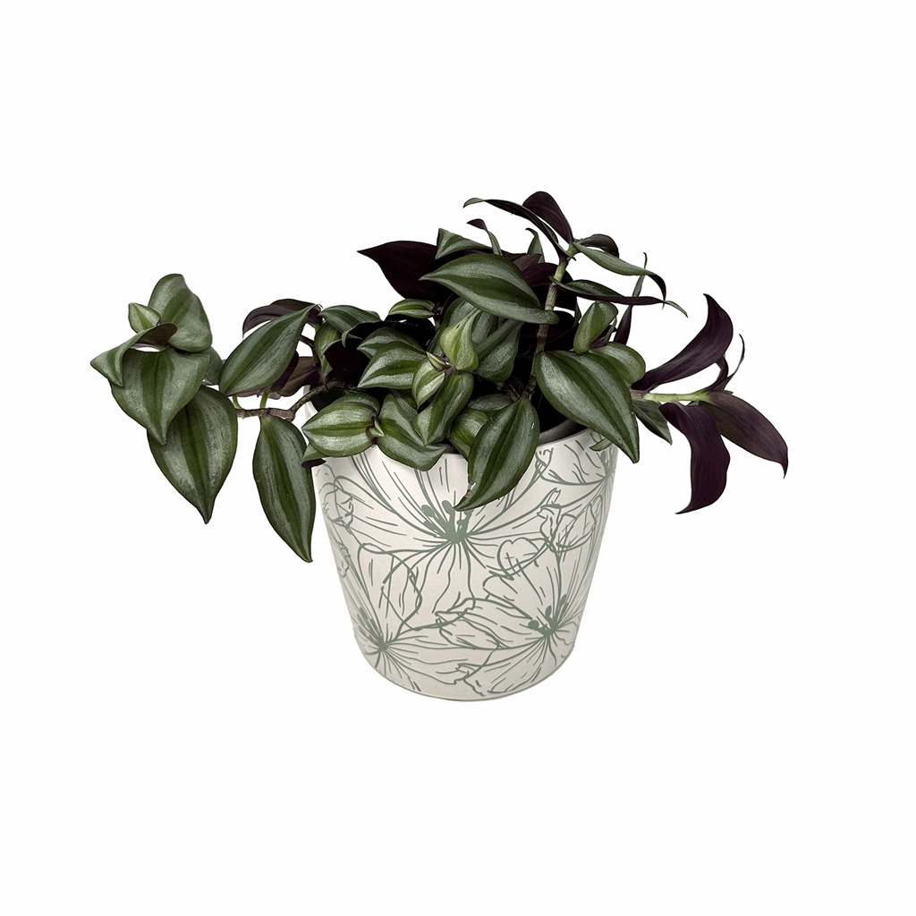 5" Green Flowers Round Self-Watering Bamboo Pot - Image 4