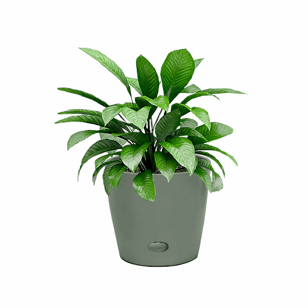 5" Sage Green Round Self-Watering Bamboo Pot - Image 2