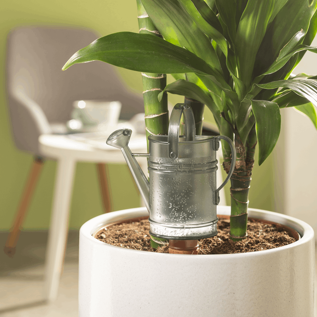 5 oz. Gray Nelly Water Reserve - Image 3