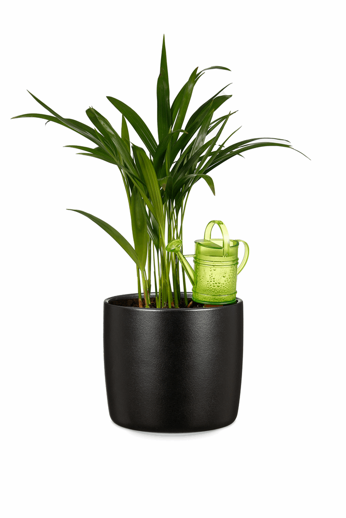 5 oz. Green Nelly Water Reserve - Image 9