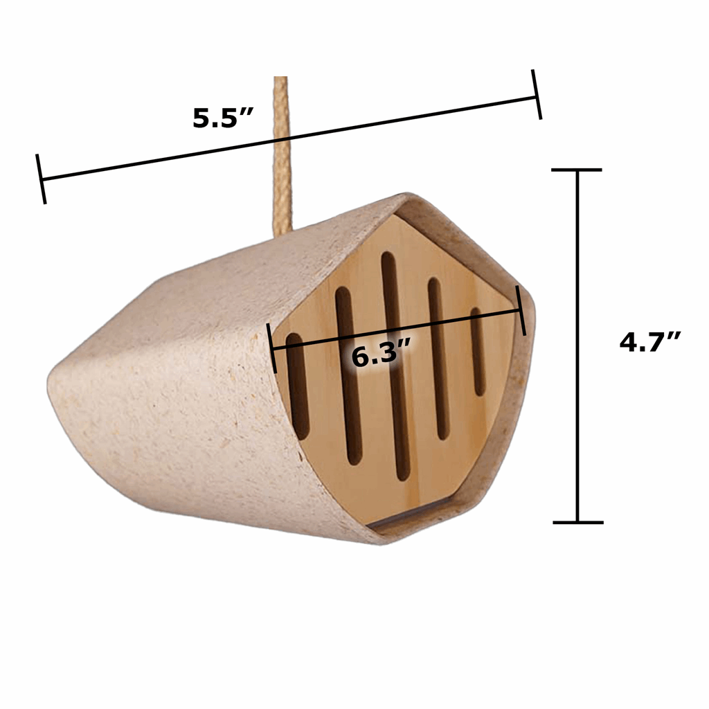 6.3" Butterfly House - Chaff and Bamboo - Image 4