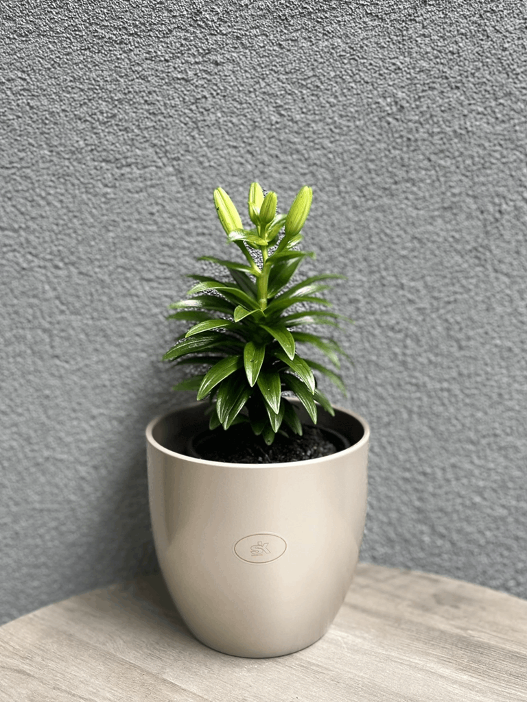 6.3" Gray Beige Metallic Ceramic Basel Elegance Pot - Image 2