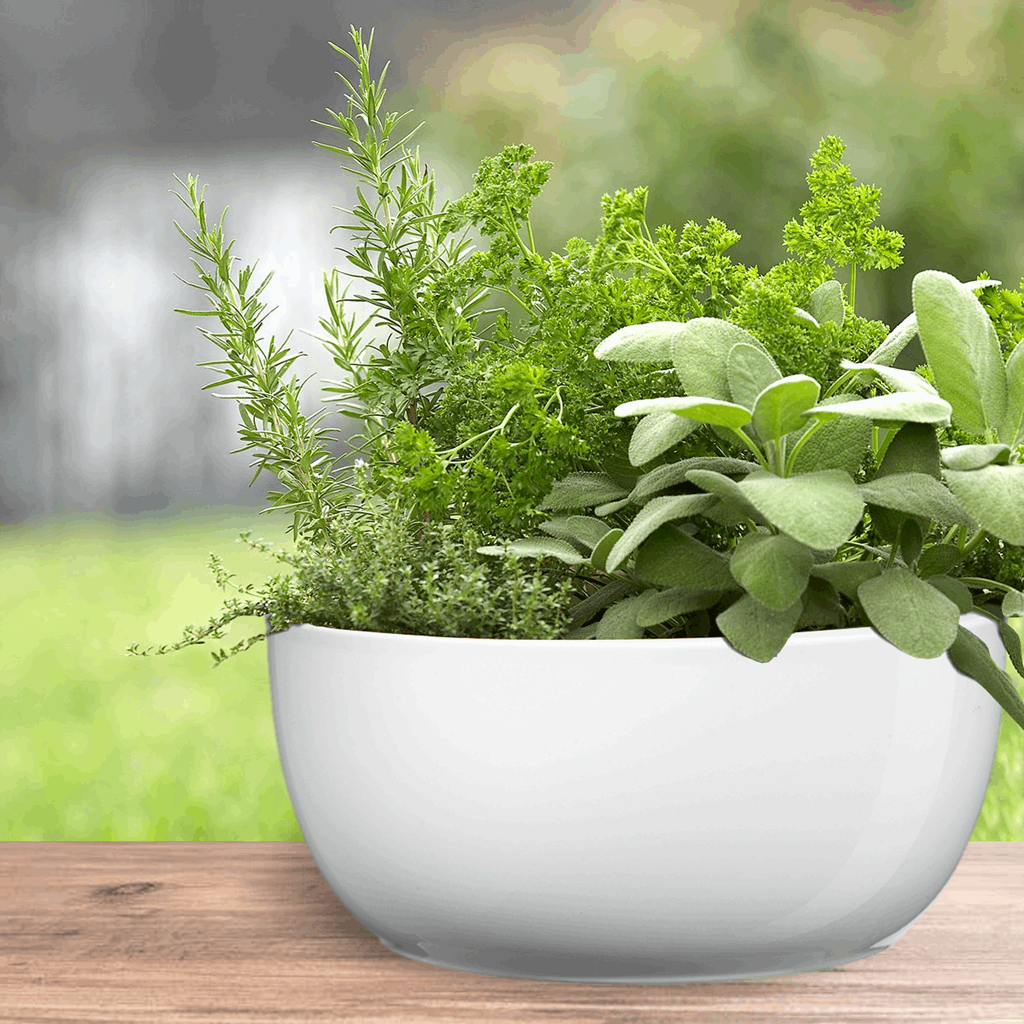 6.3" Shiny White Ceramic Basel Full Color Pot - Image 3