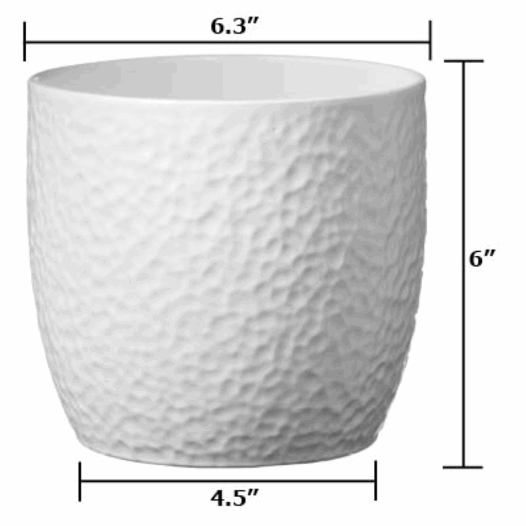 6.3" White Ceramic Boston Pot - Image 4