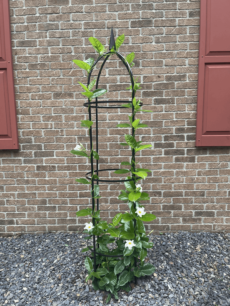 67" Obelisk - Image 4