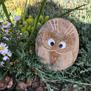 6"H Boulder Angry Bird