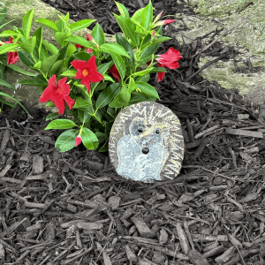6" Boulder Standing Hedgehog