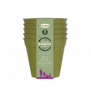 6" Green Bamboo Pot 5pk
