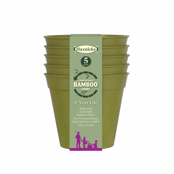 6" Green Bamboo Pot 5pk