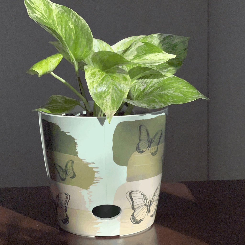 7" Butterfly Round Self-Watering Bamboo Pot - Image 9