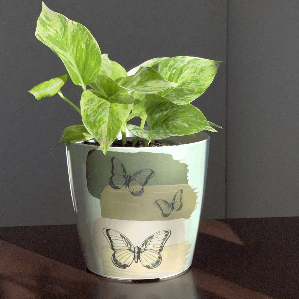 7" Butterfly Round Self-Watering Bamboo Pot - Image 10