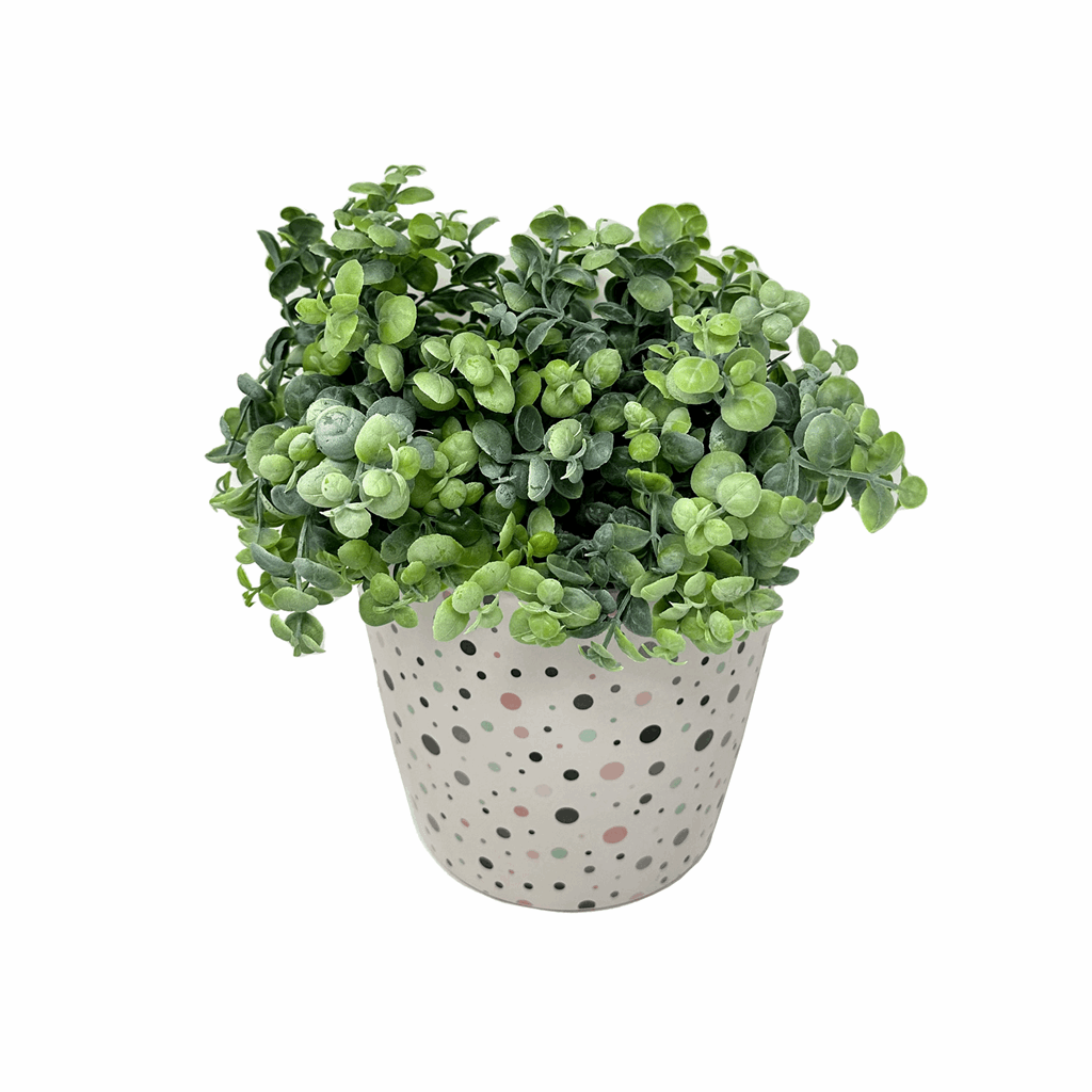 7" Dots Round Self-Watering Bamboo Pot - Image 3