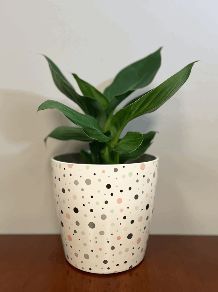 7" Dots Round Self-Watering Bamboo Pot - Image 14